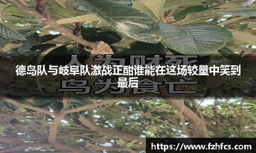 德岛队与岐阜队激战正酣谁能在这场较量中笑到最后