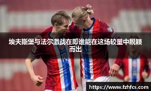 智博19有限公司